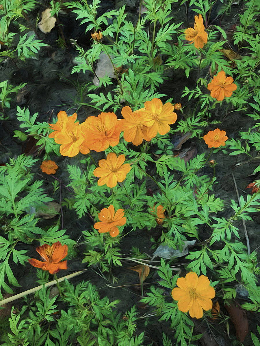 采風(fēng)（圖ZOTgxNzE5NzI=） - 風(fēng)光攝影 - 站酷設(shè)計師美麗UI原創(chuàng)素材 - 站酷ZCOOL