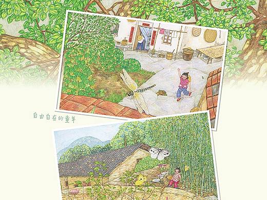 儿童田园绘本《我和祖父的园子》