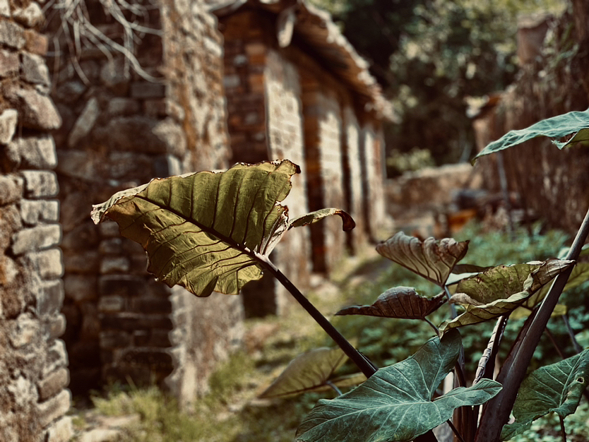 仙姑风景区随记（图ZMzMxODE4MTky） - 风光摄影 - 站酷设计师愚者猫叔原创素材 - 站酷ZCOOL