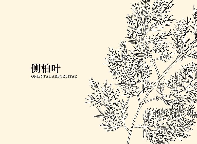 中药洗发水包装（图ZMjc1Njk0NjQw） - 包装 - 站酷设计师阿卡鱼原创素材 - 站酷ZCOOL
