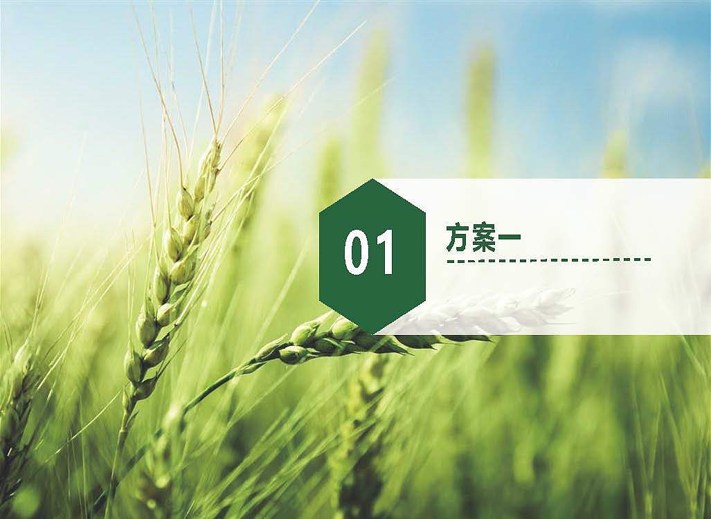 logo 设计