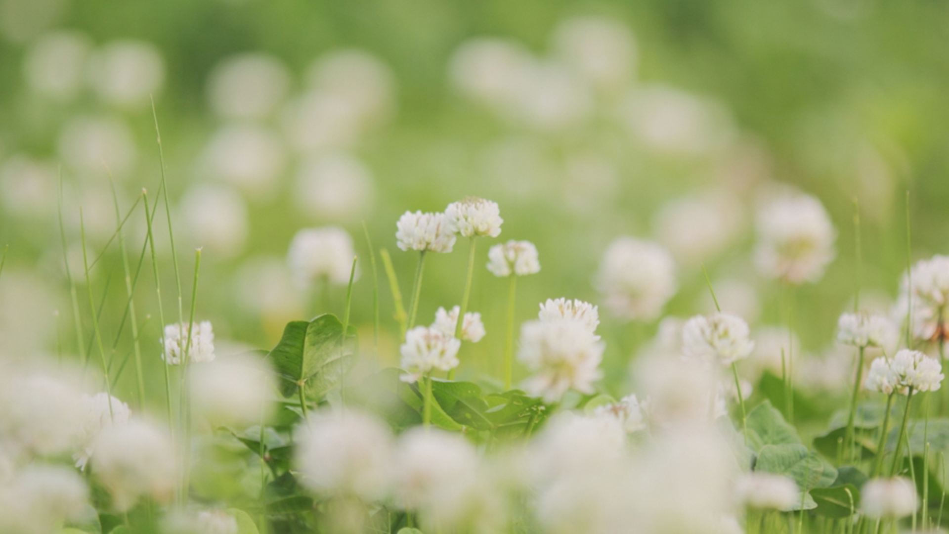 万鼎电商的个人主页（封面预览） - 主页封面设置 - 站酷设计师万鼎电商原创素材 - 站酷ZCOOL