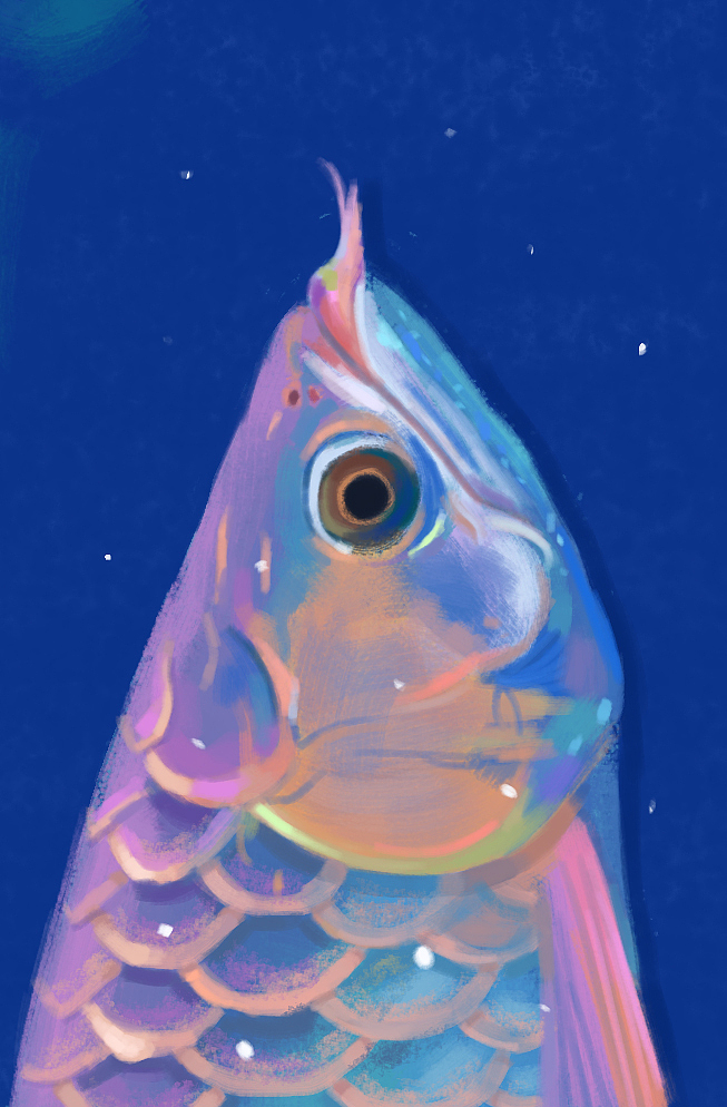 「色彩总结」30天速涂打卡（图ZMjAyMjU3MDE2） - 艺术插画 - 站酷设计师Twilight千无颜原创素材 - 站酷ZCOOL