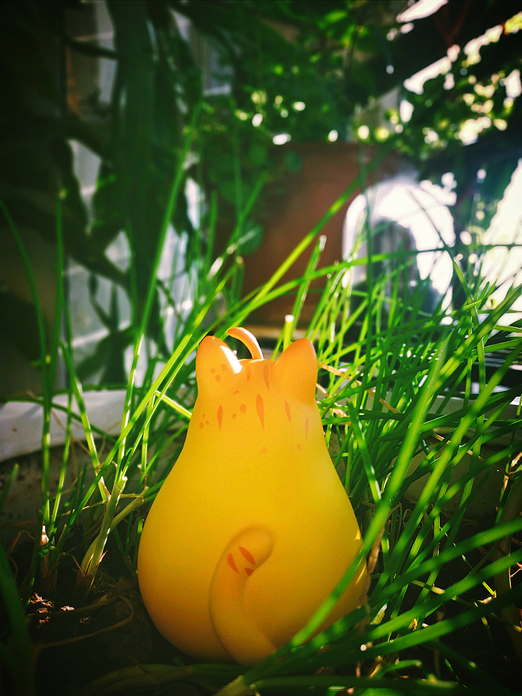 水果动物园-梨猫太子