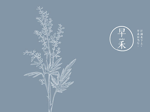 【早禾】品牌logo设计理念
