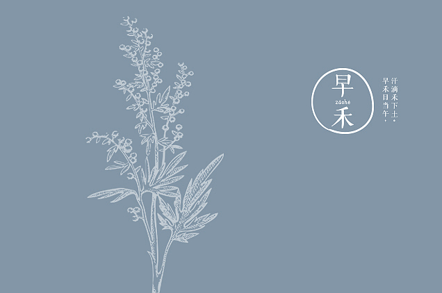 【早禾】品牌logo设计理念