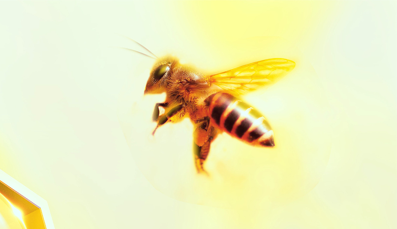 精选理财 收获甜蜜（图ZMjA3Mzg5ODMy） - 海报 - 站酷设计师吳係設計原创素材 - 站酷ZCOOL