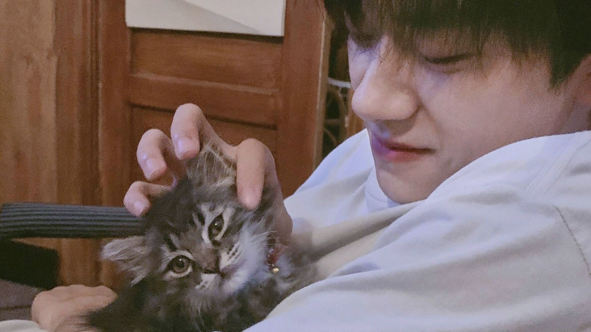 誰天天改名呀的個(gè)人主頁（背景預(yù)覽） - 主頁背景設(shè)置 - 站酷設(shè)計(jì)師誰天天改名呀原創(chuàng)素材 - 站酷ZCOOL