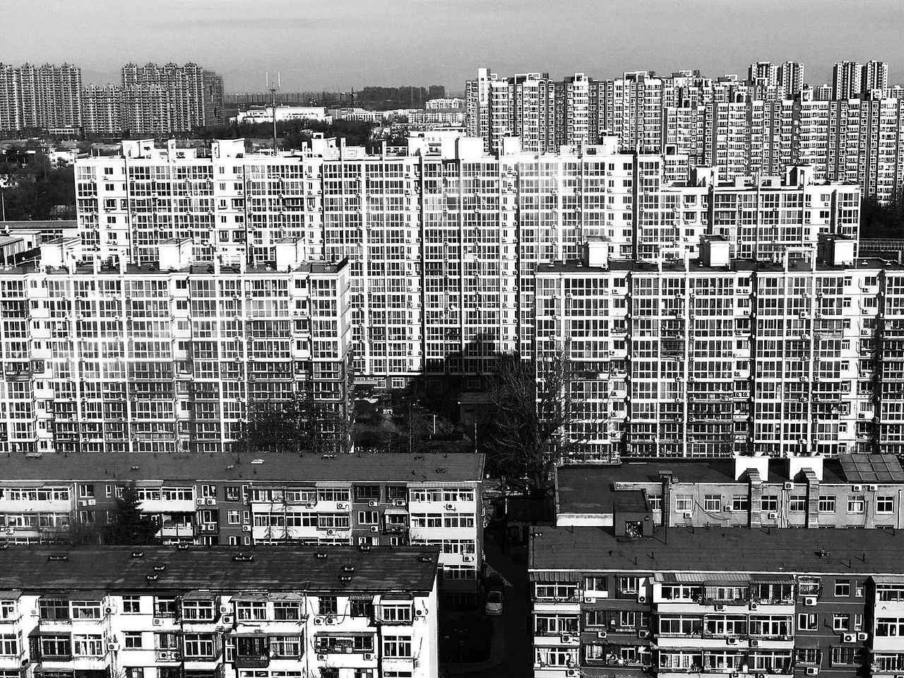 一个人的森林（图ZMTAxMTg2MTI0） - 人文/纪实摄影 - 站酷设计师白雀品牌设计原创素材 - 站酷ZCOOL