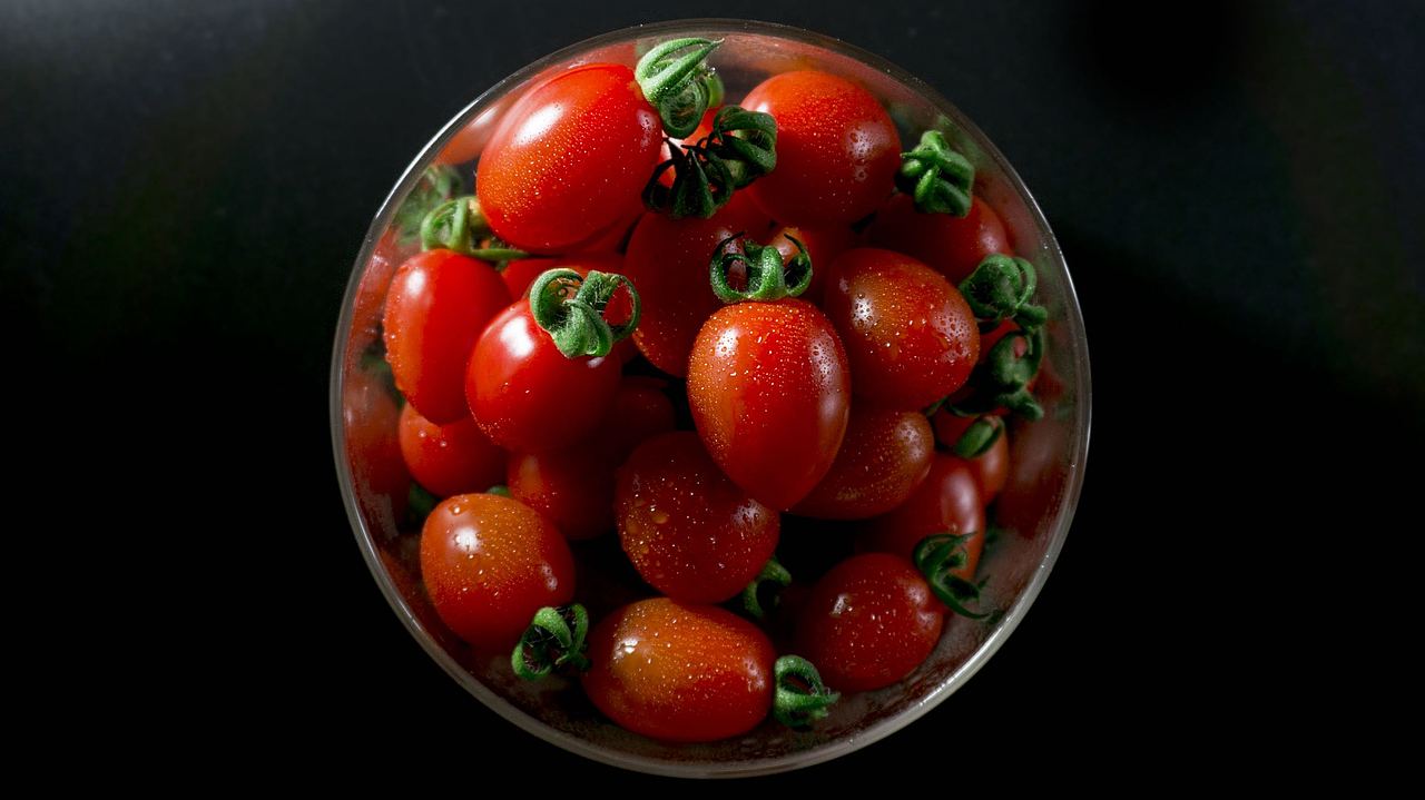 【小番茄】第一次拍摄