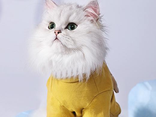 猫咪素色蝴蝶结T恤详情页