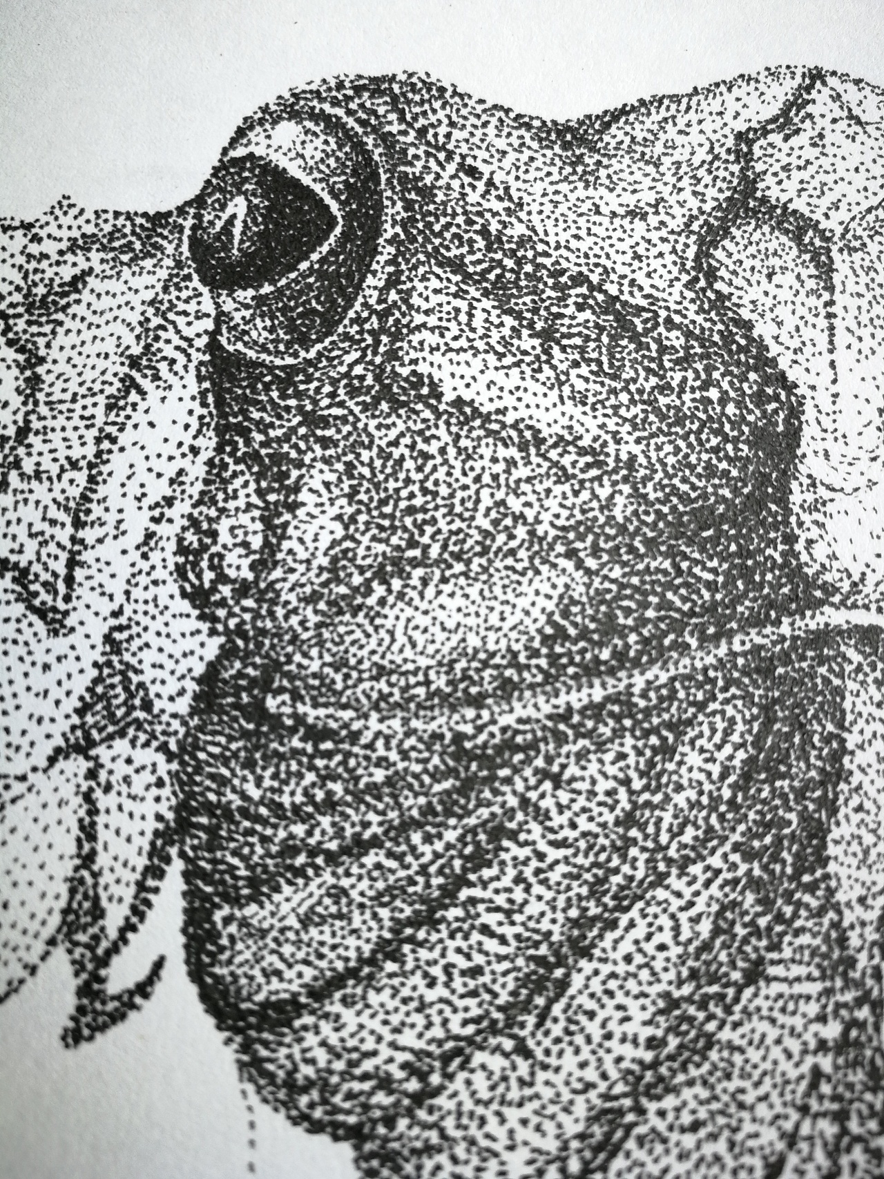 针管笔点画练习