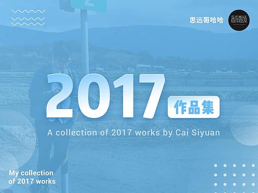 2017年个人作品总结