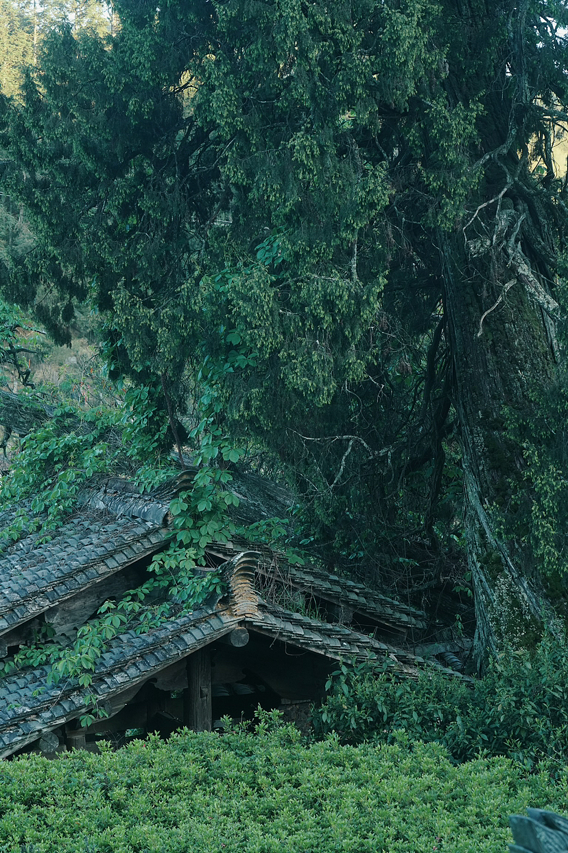 东方山水意境 自然之美