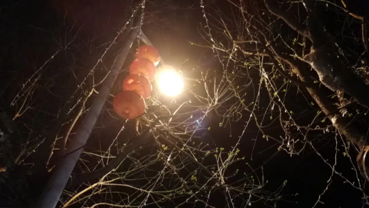 【脑世绘·集(111-120)】