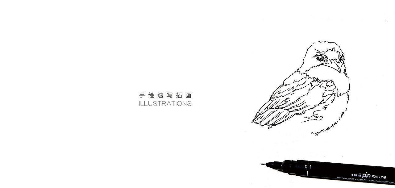 伊人燕窝提案（图ZMTE1MjU4MTQ0） - 品牌 - 站酷设计师Rabbit陈原创素材 - 站酷ZCOOL