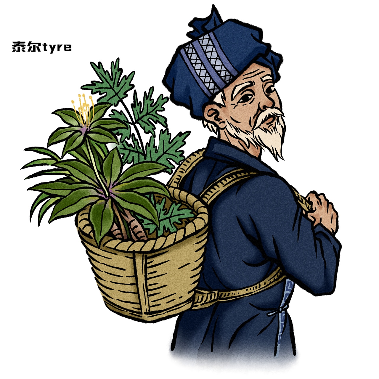 【苗药-重楼】包装插图