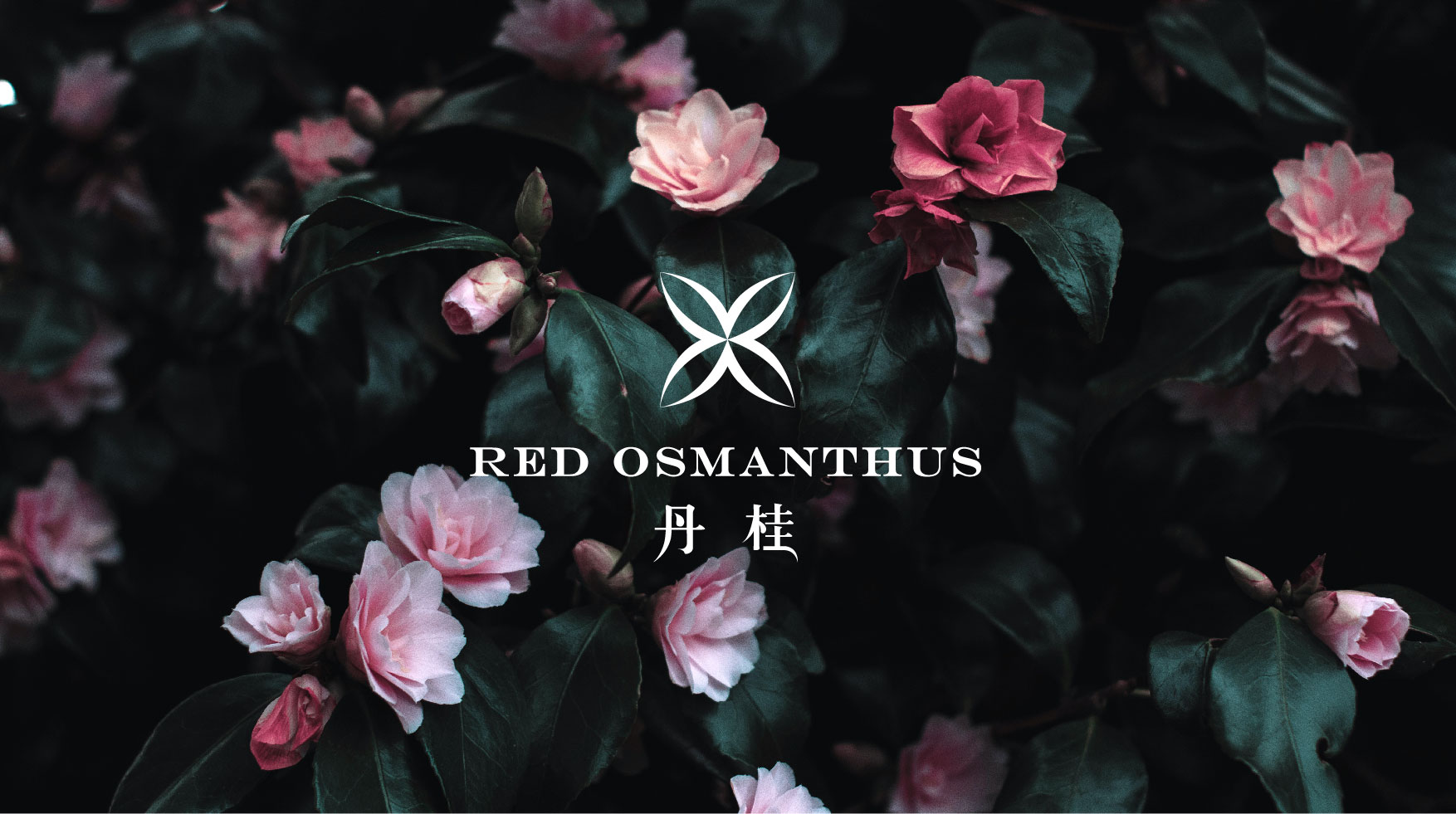 countersine的个人主页（背景预览） - 主页背景设置 - 站酷设计师countersine原创素材 - 站酷ZCOOL