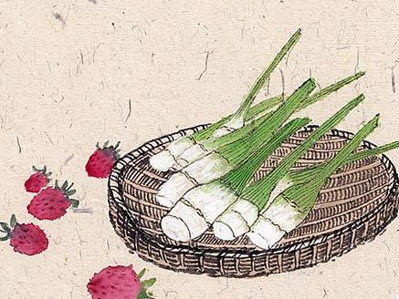 蔬菜版二十四节气  春季篇