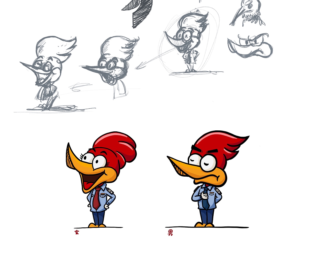 不过只是小插曲,最后真正开始自然还是以啄木鸟来创作设计。
从参考过外动画作品,到查看各种啄米鸟的资料,多次修改后的初稿是这样的。