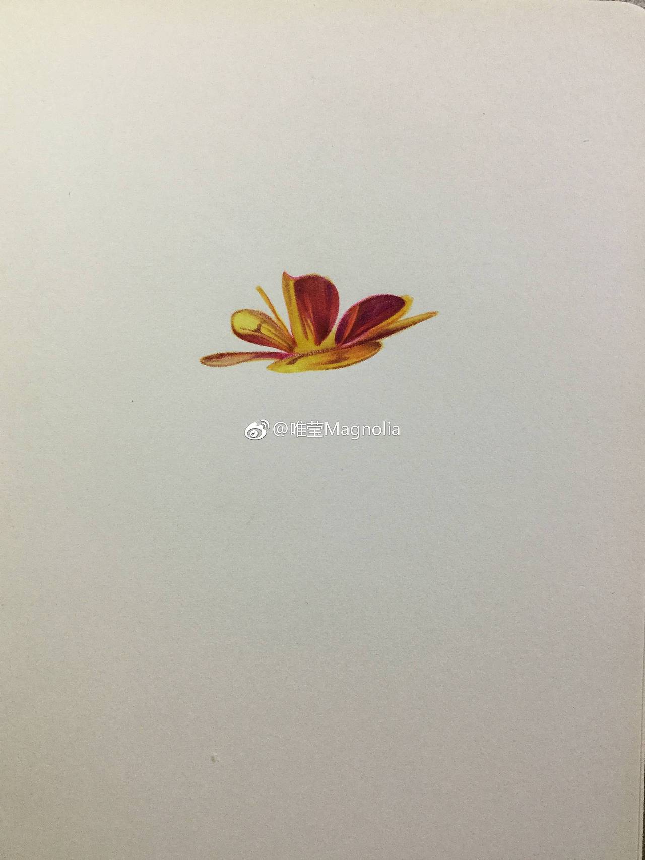 一个发簪（图ZMTE0NDA4NzA4） - 绘画 - 站酷设计师唯莹原创素材 - 站酷ZCOOL