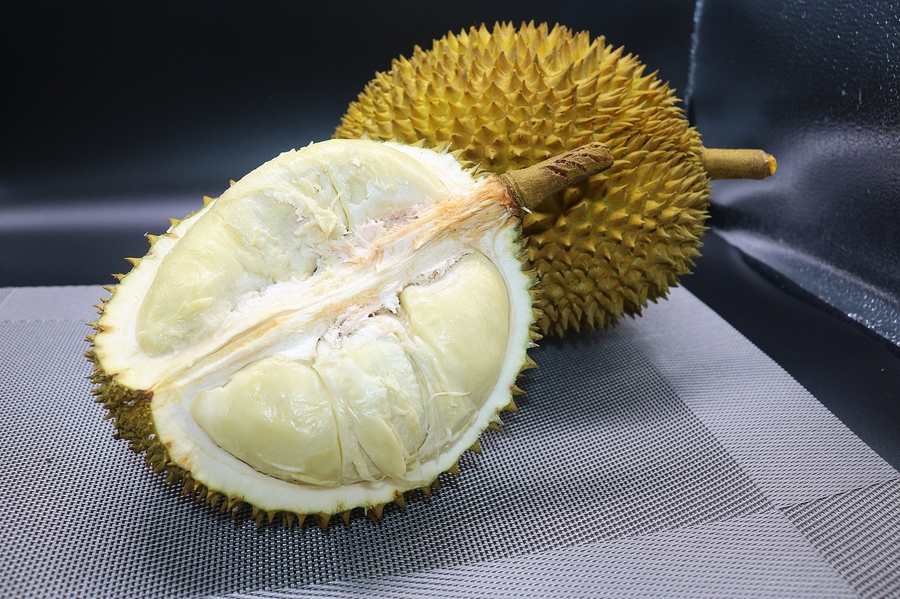 老男人果品老挝猫山王苦咖菲猫榴莲