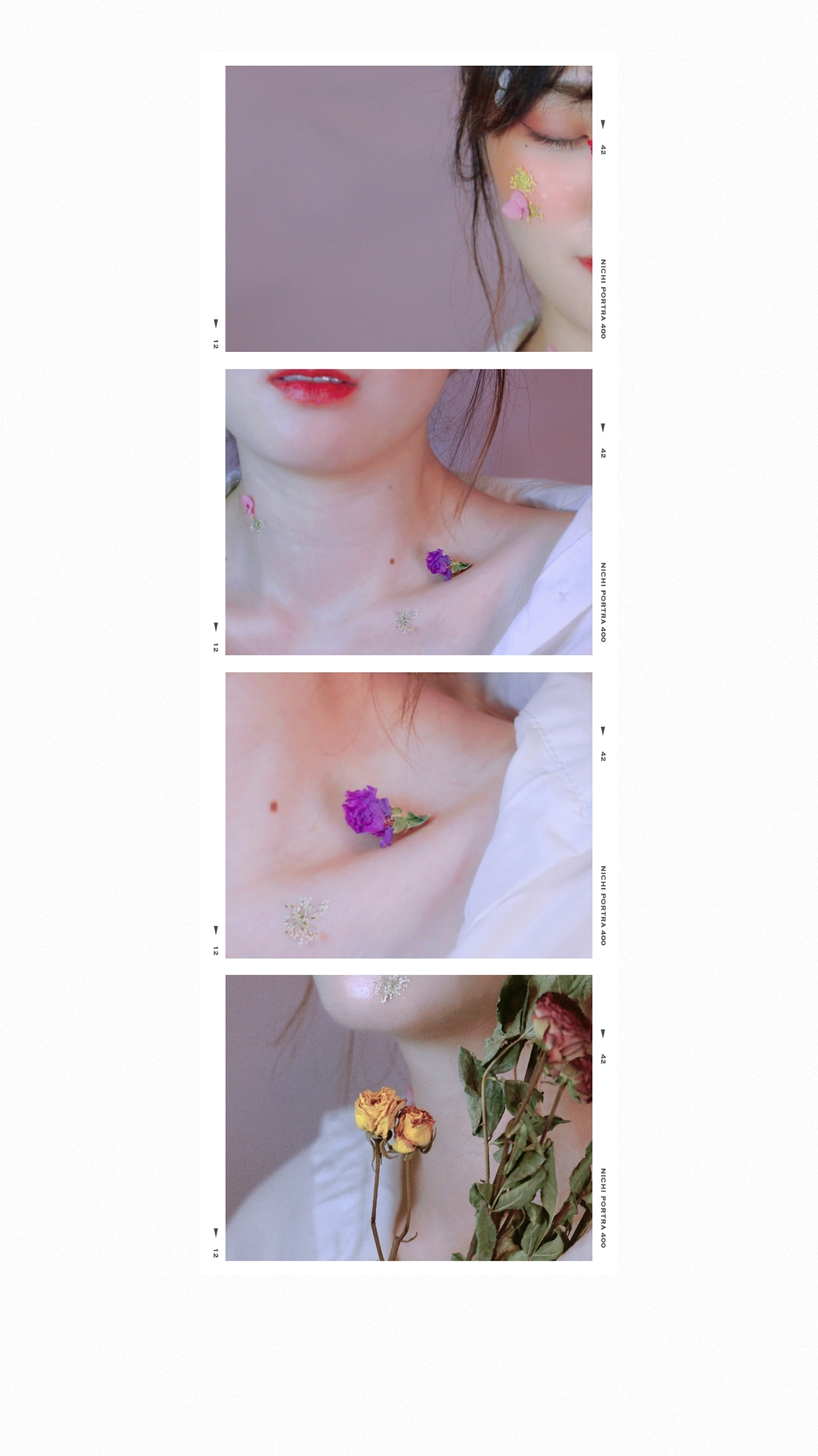 花儿与少女 | 低成本室内拍摄