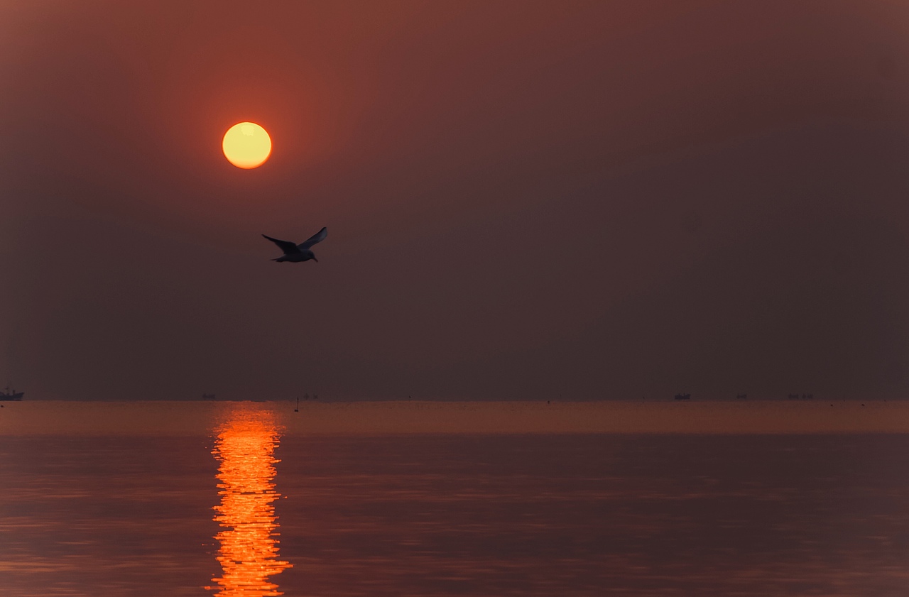 2019年的第一个日出——山东日照