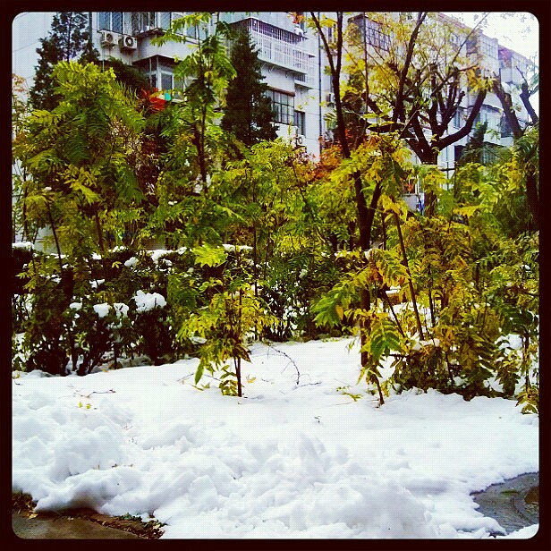 爱生活、爱手机随手拍、（图ZNzM5OTgyMA==） - 人文/纪实摄影 - 站酷设计师Hi丶滚原创素材 - 站酷ZCOOL