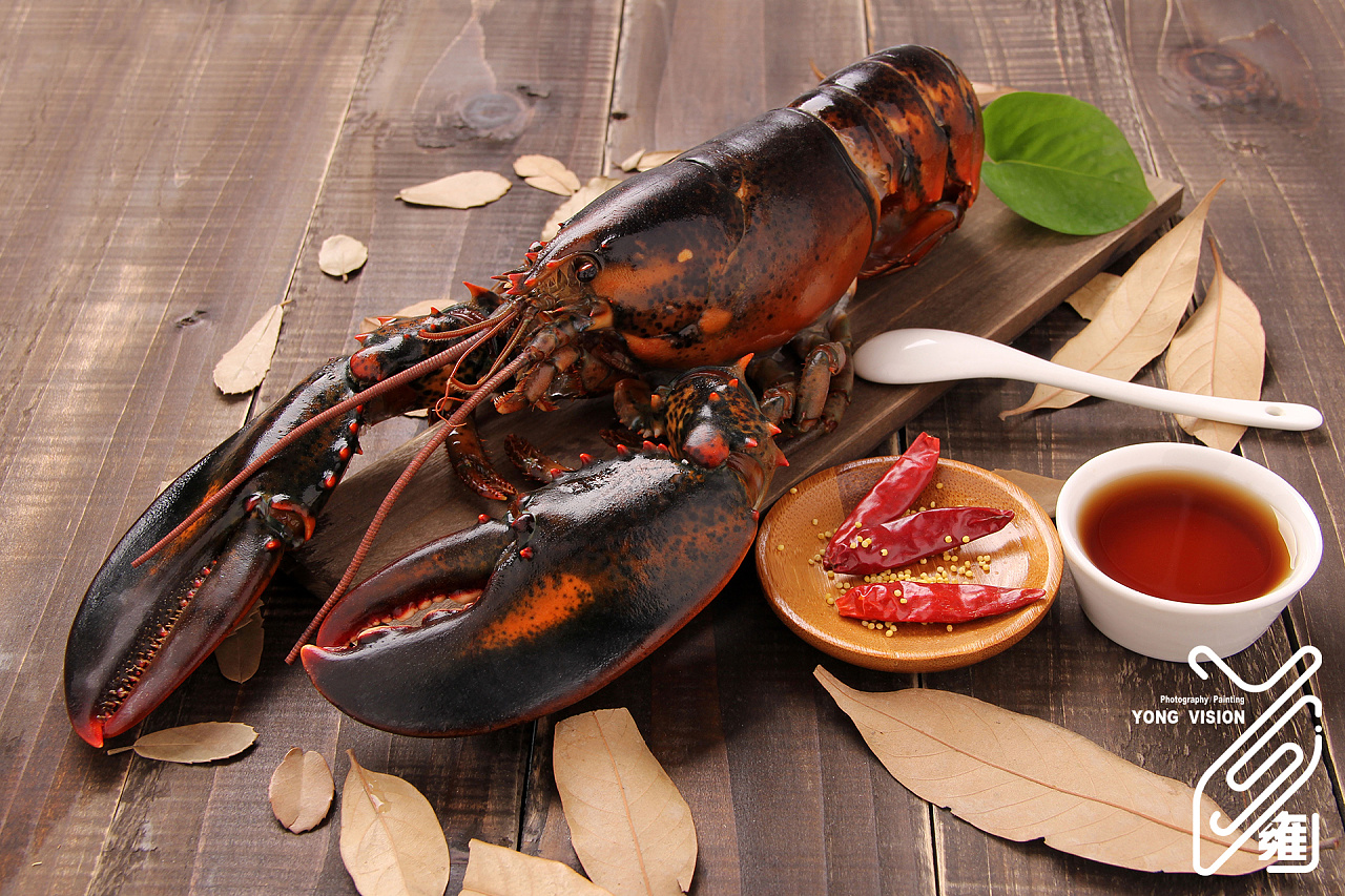 大龙虾拍摄 静物摄影