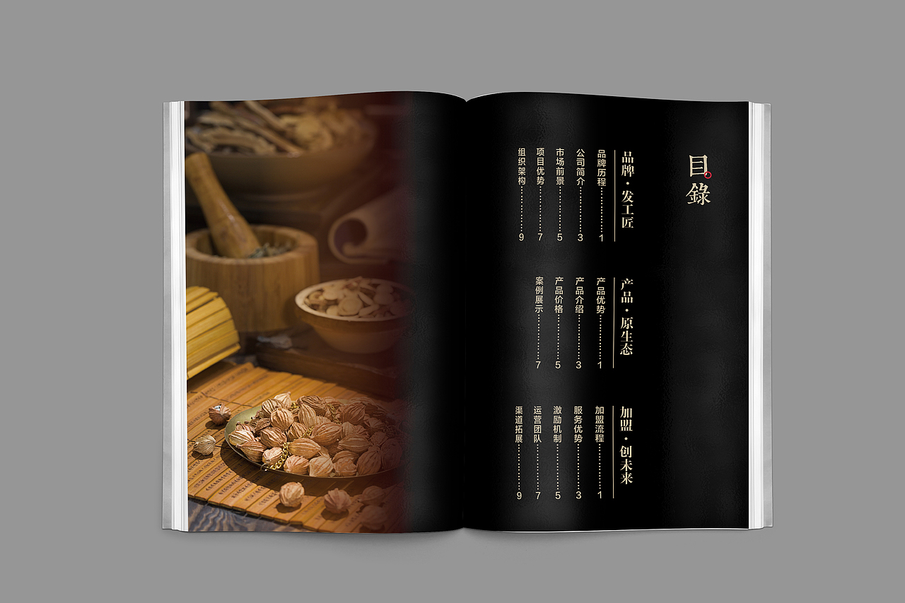 【FGJ】招商手册设计（图ZMTA5MDQ5MzUy） - 书籍/画册 - 站酷设计师yuqizhang原创素材 - 站酷ZCOOL