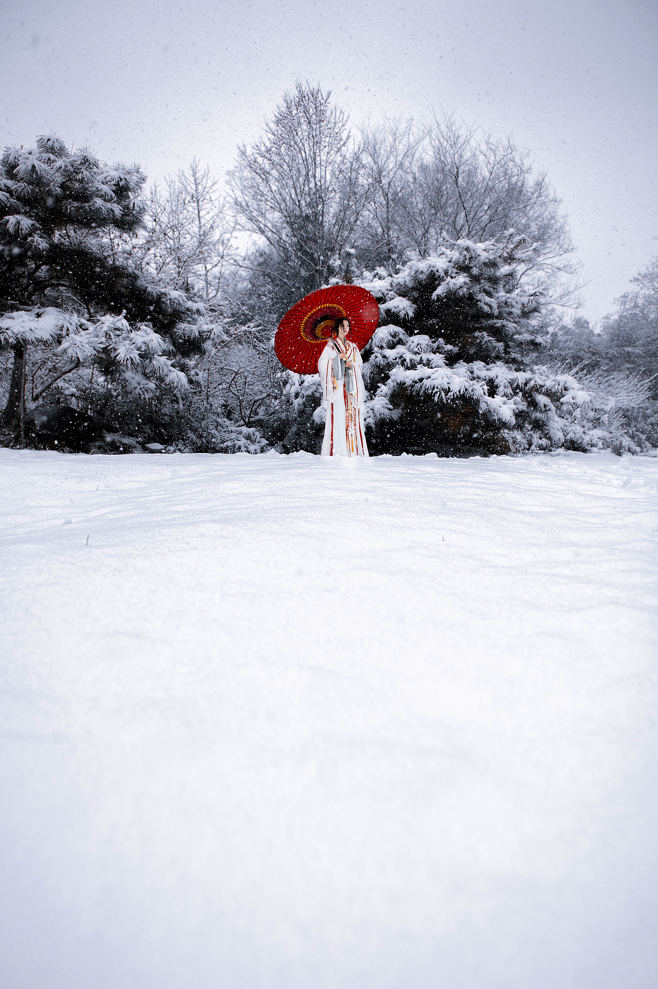 我本来想送你一个超级可爱的跨年礼物的冰封美人我本戏子无情胜有情