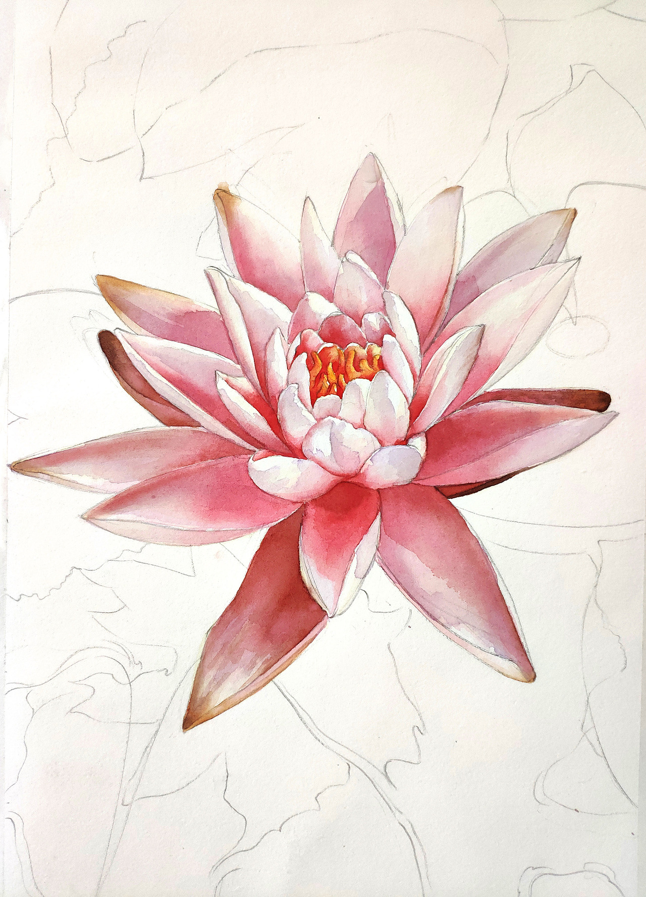 水彩莲花|纯艺术|绘画|山马霖_原创作品-站酷(zcool)