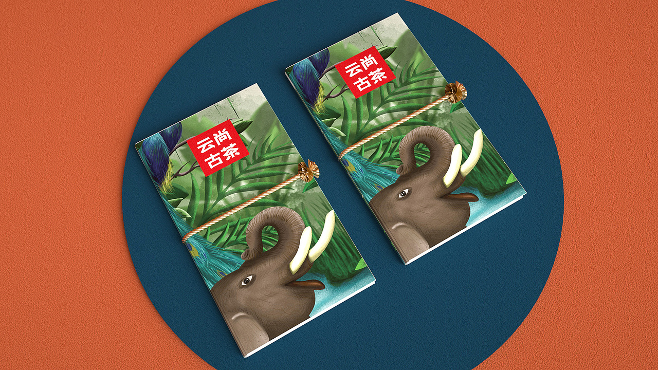 晨狮设计专注于品牌形象及包装设计领域，通过和企业的大力合作，沉淀了大量的经验，精确的产品定位与包装视觉的完美结合，大大提高了产品市场竞争力，积累了品牌市场价值。
<br>晨狮以最真诚的心，做最有价值的事！<br><br>以上内容由晨狮设计原创整理，媒体如需转载请声明来自「晨狮设计」，私自转载会追究法律责任！更多作品和原创观点请浏览晨狮官网。