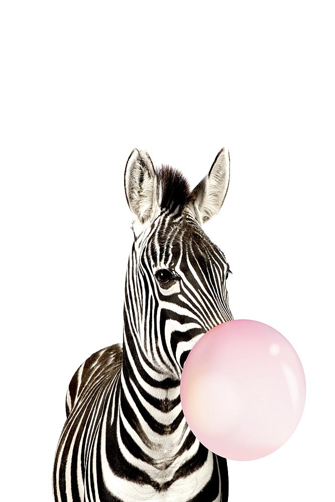 2021小清新（图ZMjkwNzcxNTk2） - 商业插画 - 站酷设计师窗帘图库原创素材 - 站酷ZCOOL