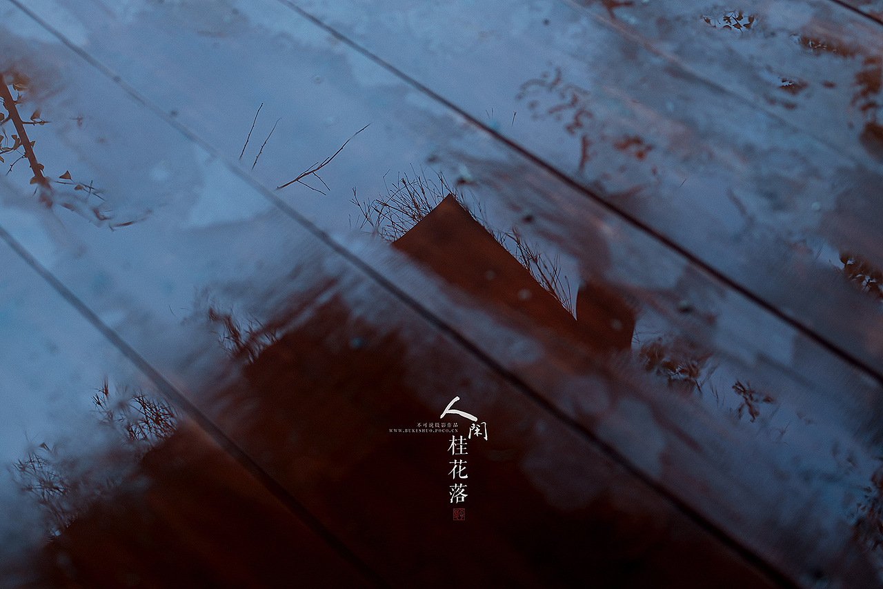 人闲桂花落（图ZMTc5NjA5Mzc2） - 人像摄影 - 站酷设计师摄影师不可说原创素材 - 站酷ZCOOL