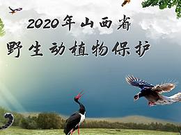 野生动植物保护