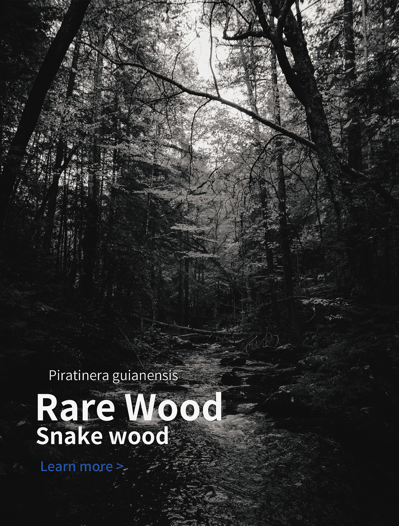 Forkry Corkscrew产品宣传册设计（广交会用）（图ZMTkwNzUwMzE2） - 书籍/画册 - 站酷设计师hiphopnc原创素材 - 站酷ZCOOL