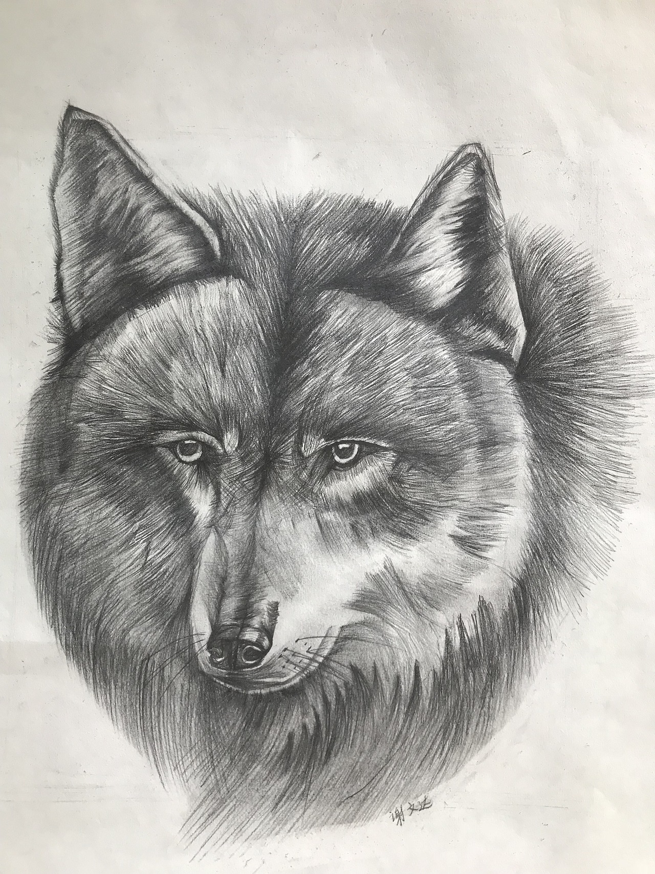 布谷书画素描学生作品辑（图ZMjIyNzY4NzQw） - 绘画 - 站酷设计师布谷书画馆原创素材 - 站酷ZCOOL