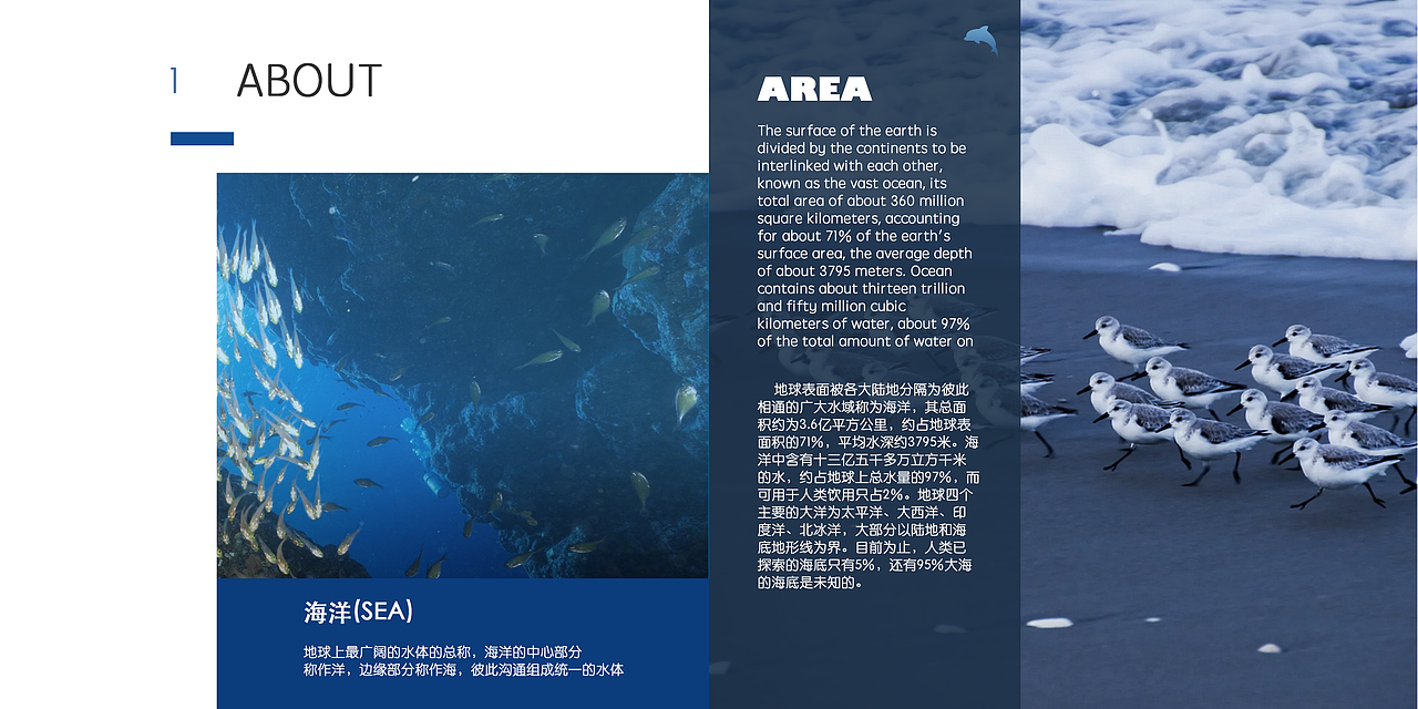 海洋保护宣传册（图ZODc0MzUwNjA=） - 书籍/画册 - 站酷设计师猫神咕咕原创素材 - 站酷ZCOOL