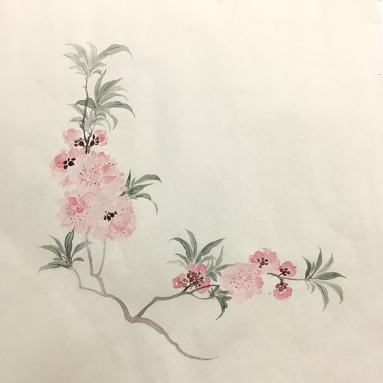 国画（图ZMTU2MDM0NDI0） - 绘画 - 站酷设计师芷子原创素材 - 站酷ZCOOL