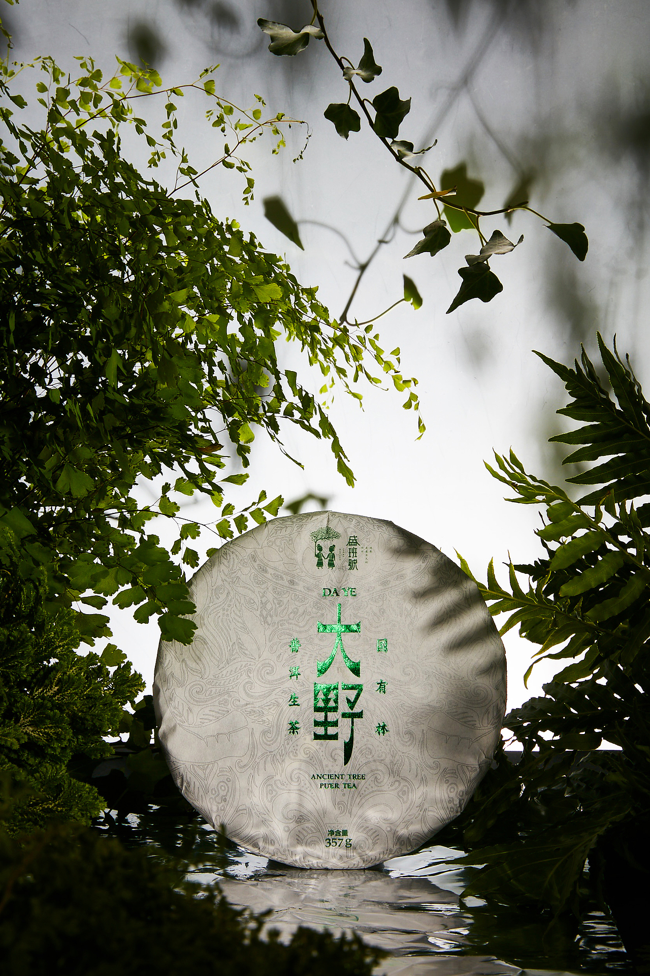 大 野 | 古树普洱茶
