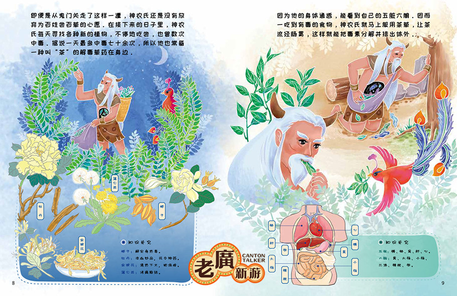 老广新游/大话国/传统文化/国潮/绘本/《神农尝百草》