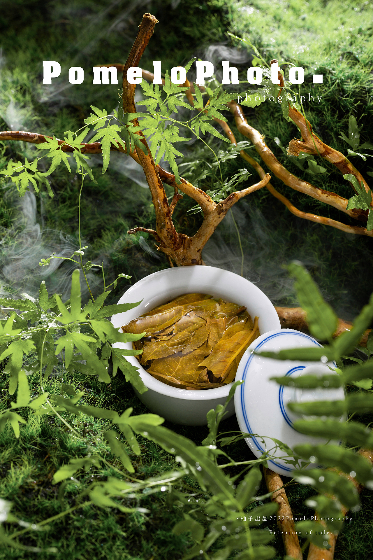 普洱生茶 ｜陈升老班章｜茶叶拍摄 |（图ZMzE2MTUyNTM2） - 产品摄影 - 站酷设计师赣州虞跃摄影原创素材 - 站酷ZCOOL