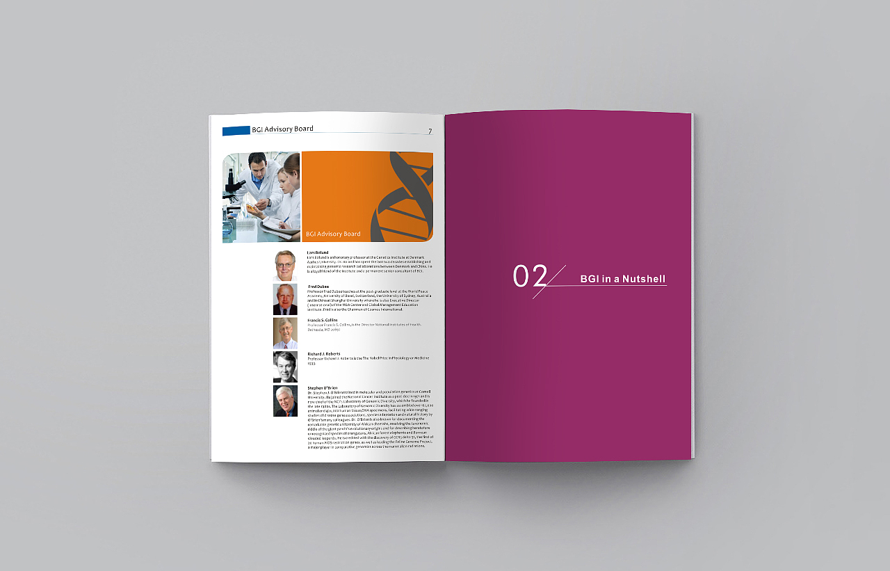 画册,英文画册,Product catalog,brochure