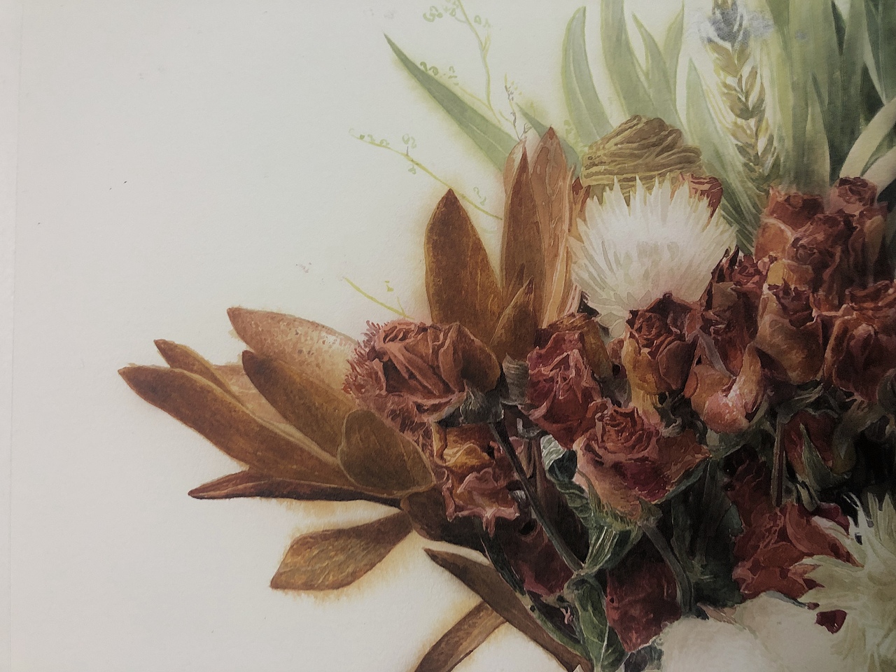 水彩画干花步骤