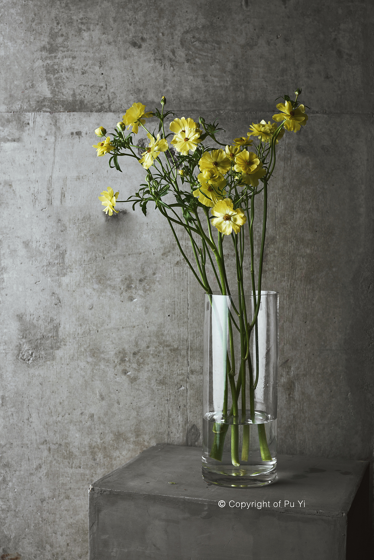 「 火星咖啡 」 花束 花材拍摄