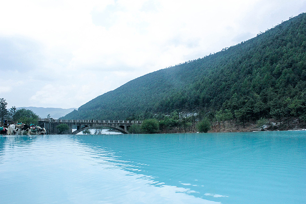 云南--玉龙雪山