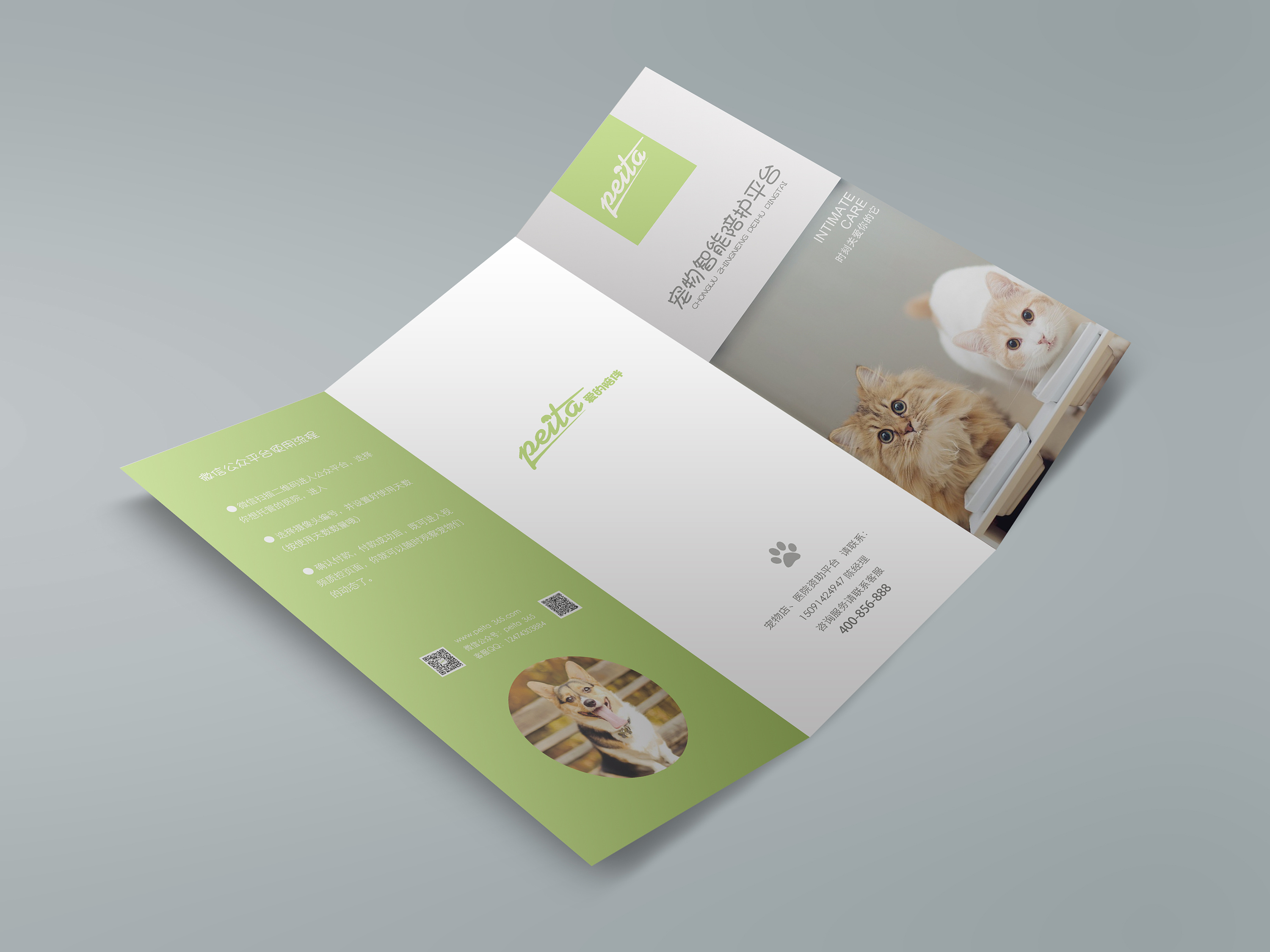 宠物智能陪护三折页