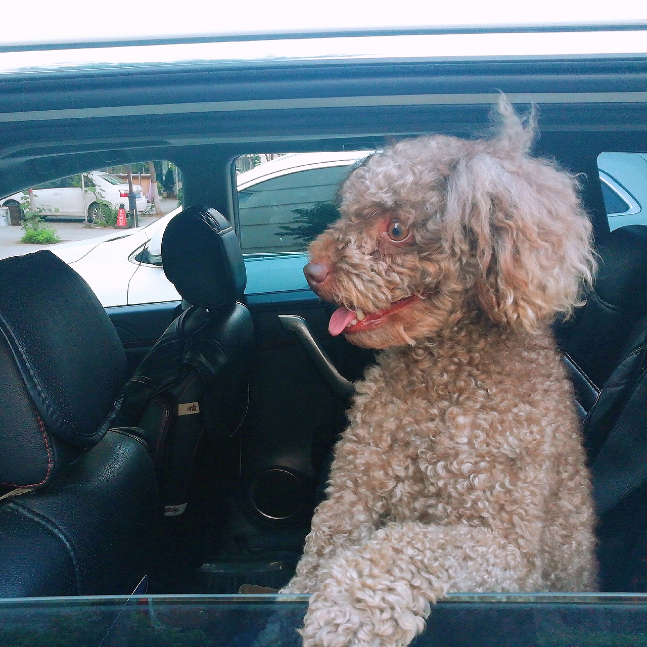 淘淘的开心生活